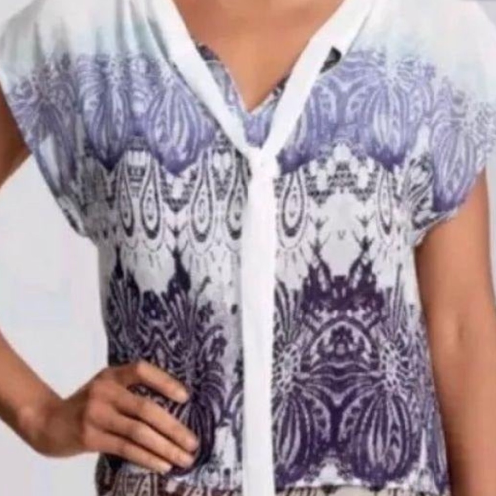 CAbi White Blue Purple Ombre Chiffon Blouse